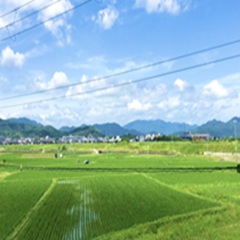 レン